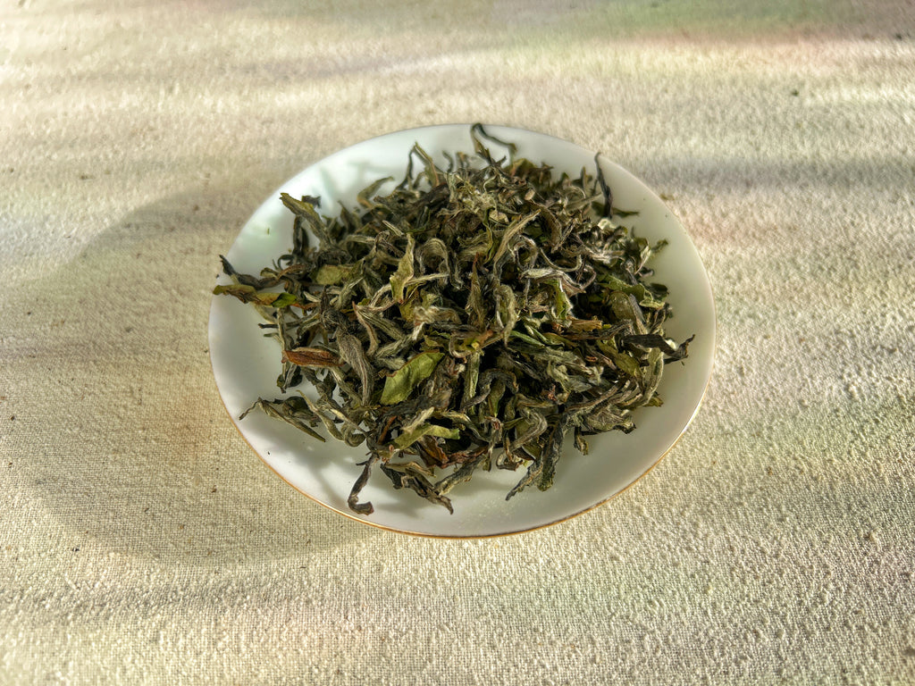 Nepalese White Tea