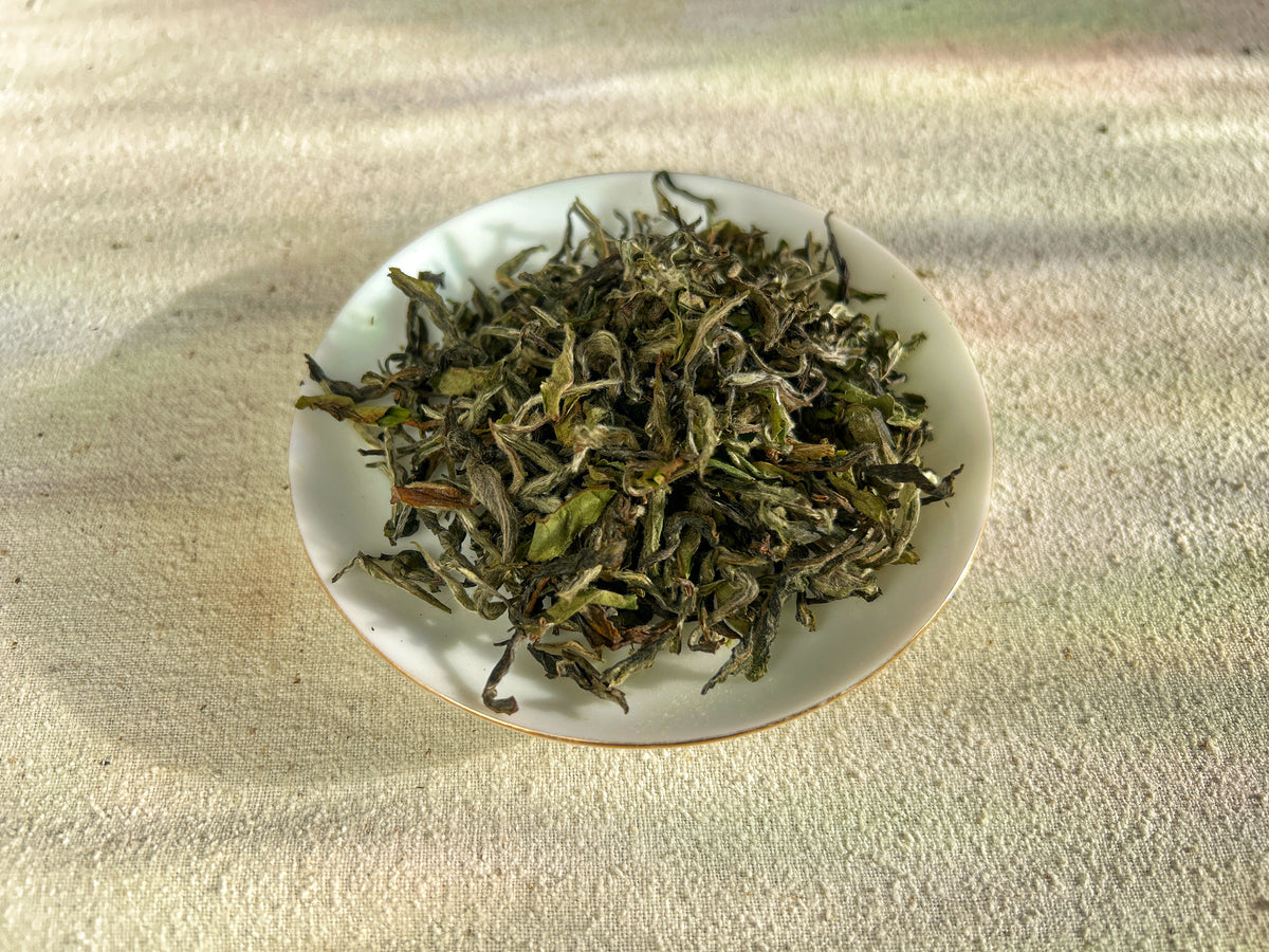 Nepalese White Tea
